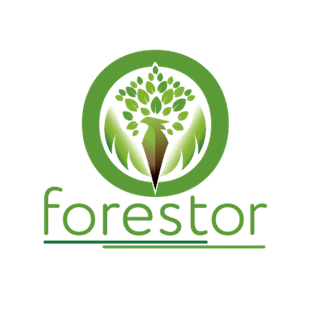forestor forestor